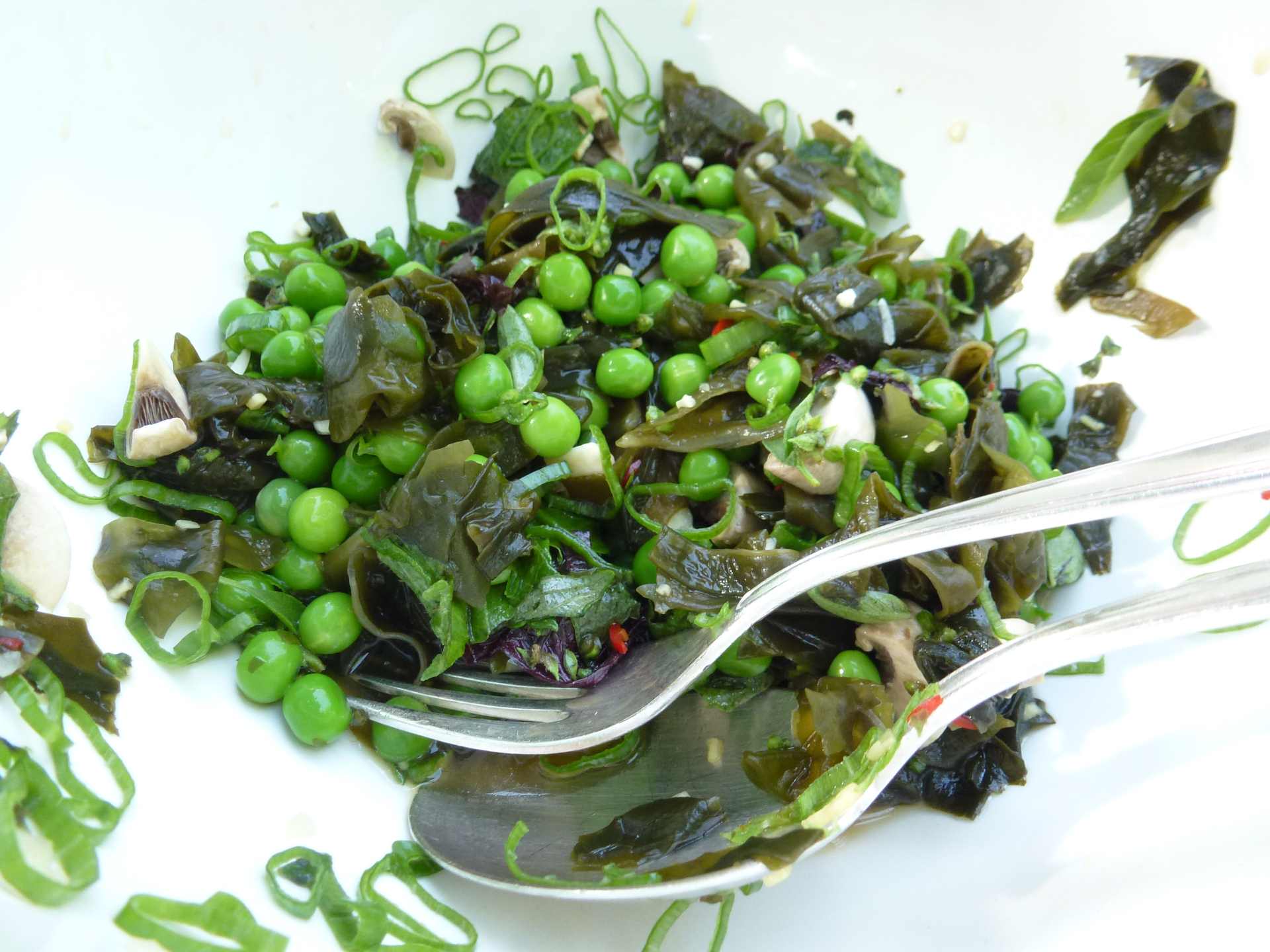 Japanischer Algensalat Japanischer Algensalat